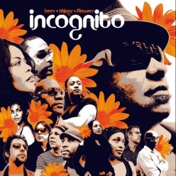 Incognito - Bees Things Flowers